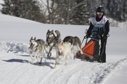 Kandersteg 2013